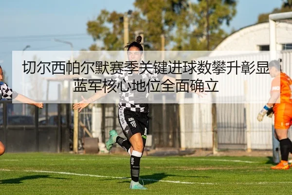 切尔西帕尔默赛季关键进球数攀升彰显蓝军核心地位全面确立