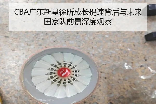 CBA广东新星徐昕成长提速背后与未来国家队前景深度观察